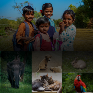 Untitled Design 2025 12 01T140109.257