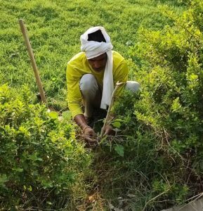 whatsapp image 2025 12 07 at 9.09.38 am