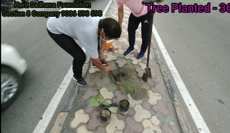 whatsapp image 2026 06 27 at 20.00.36