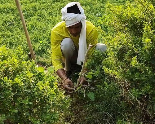 whatsapp image 2025 12 07 at 9.09.38 am